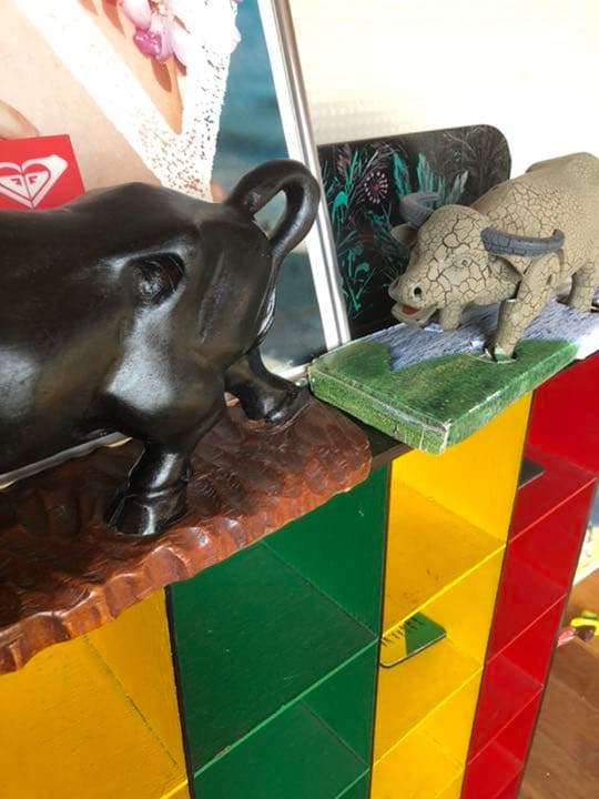 うるま市　沖縄　徳之島　闘牛　黒糖焼酎　奄美　木彫り　泡盛