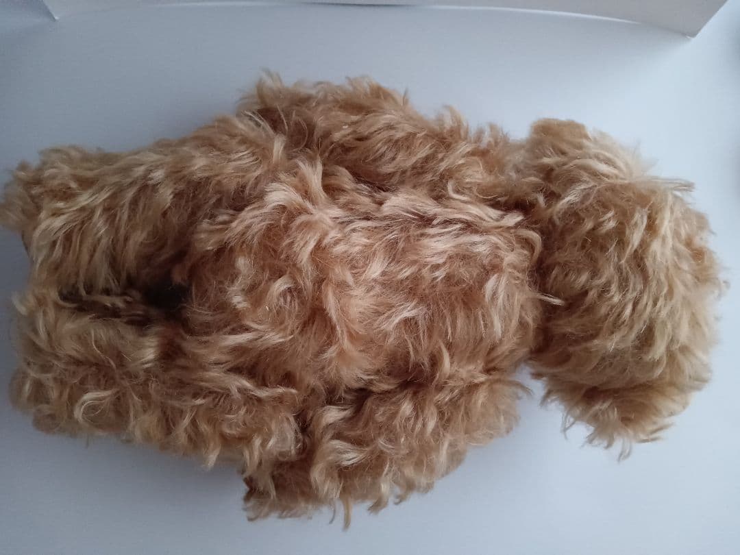 アーティストベア 約25cm