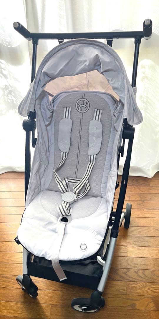 サイベックス　リベル　2024 フォググレー(土日祝発送✖️)