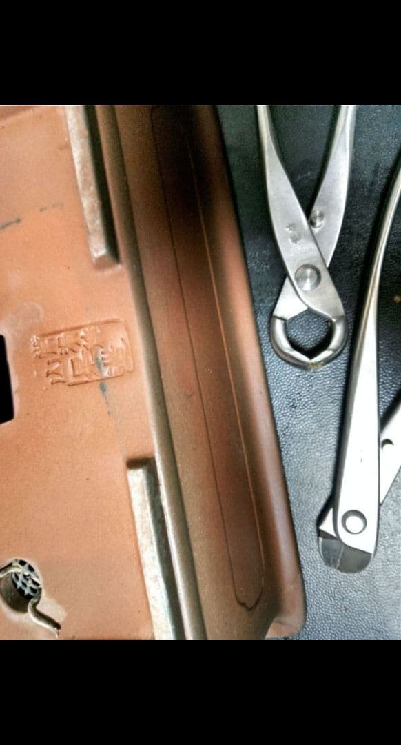 【中品　真柏盆栽】　　　　　⭕古木太幹…新春限定価格❗ 　　　★延長中★