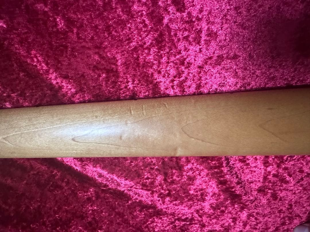 【土日セール中】MusicMan StingRayEX ハードケース＆おまけ付