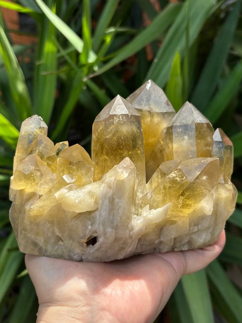 ブラジル産シトリンクラスター1888g 立派　ファントムあり　迫力　ポイント太い