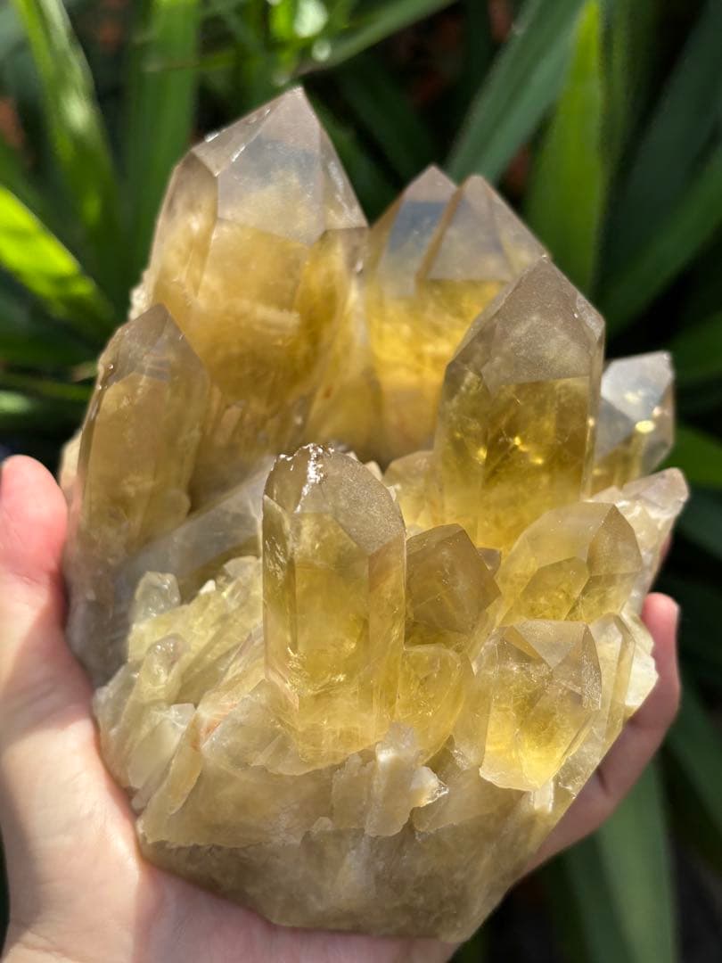 ブラジル産シトリンクラスター1888g 立派　ファントムあり　迫力　ポイント太い