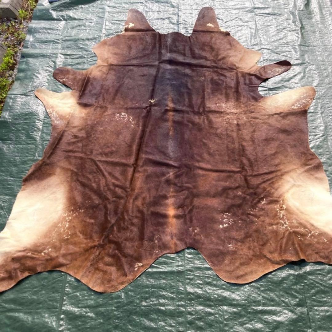 【入手困難】特大250×230牛革ハラコラグ★グランピングお籠もりキャンプにも！