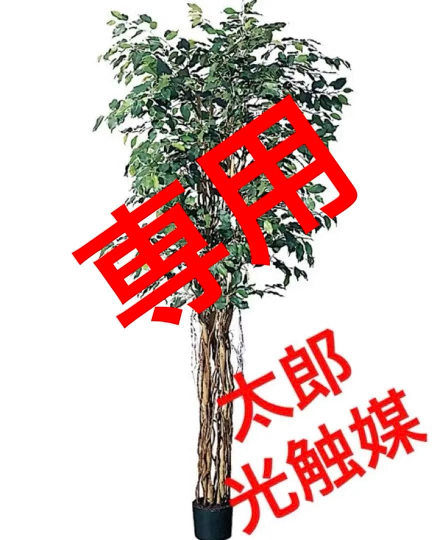 光触媒　人工観葉植物　ウォールグリーン　フェイクグリーン　ベンジャミンフィカスj