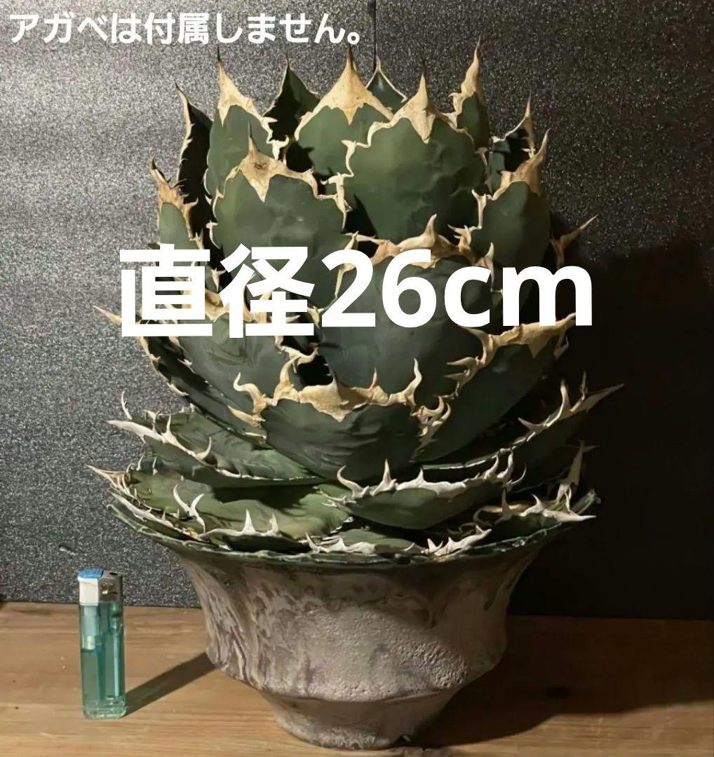 カタチ製作所Mederu potの特大鉢 横26cm 縦13cm（9号鉢）