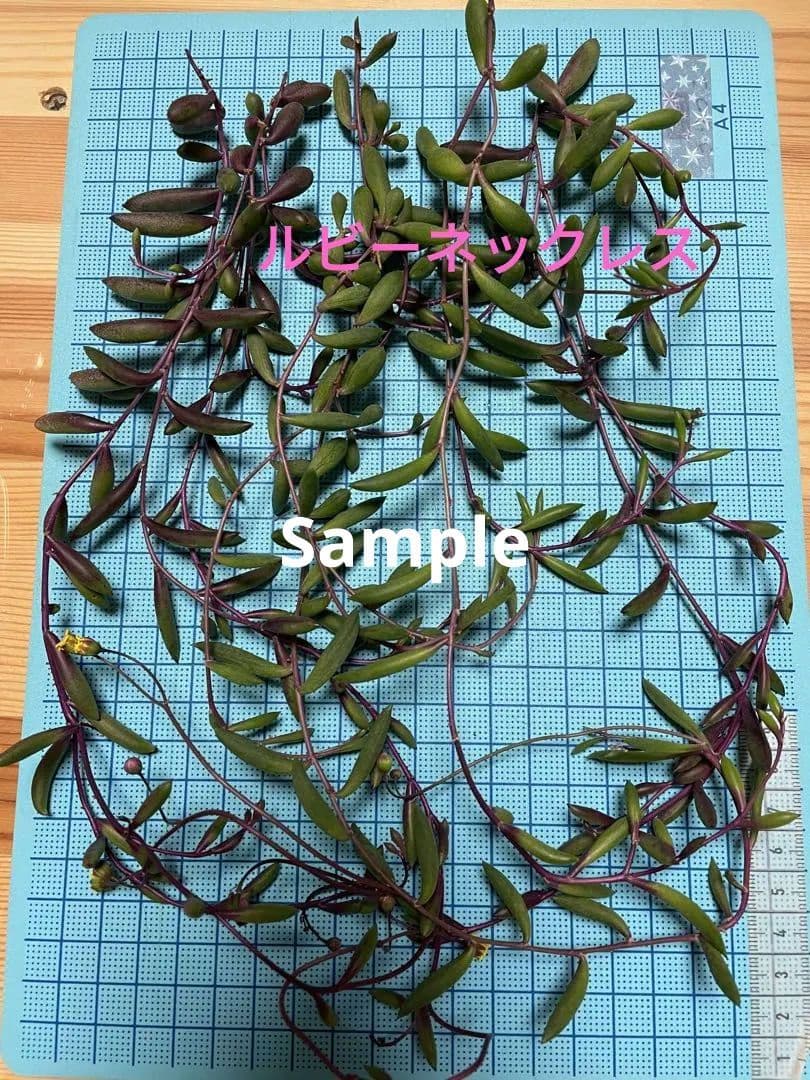 3種ネックレス詰め合わせ　ドルフィン/ルビー/バナナネックレス