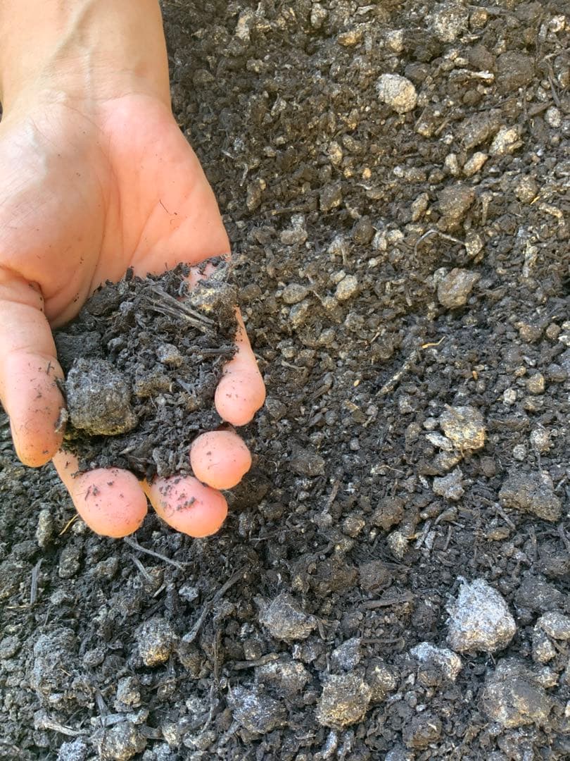 藍染め　鯉のぼり　３体セット　名入れあり　手染め