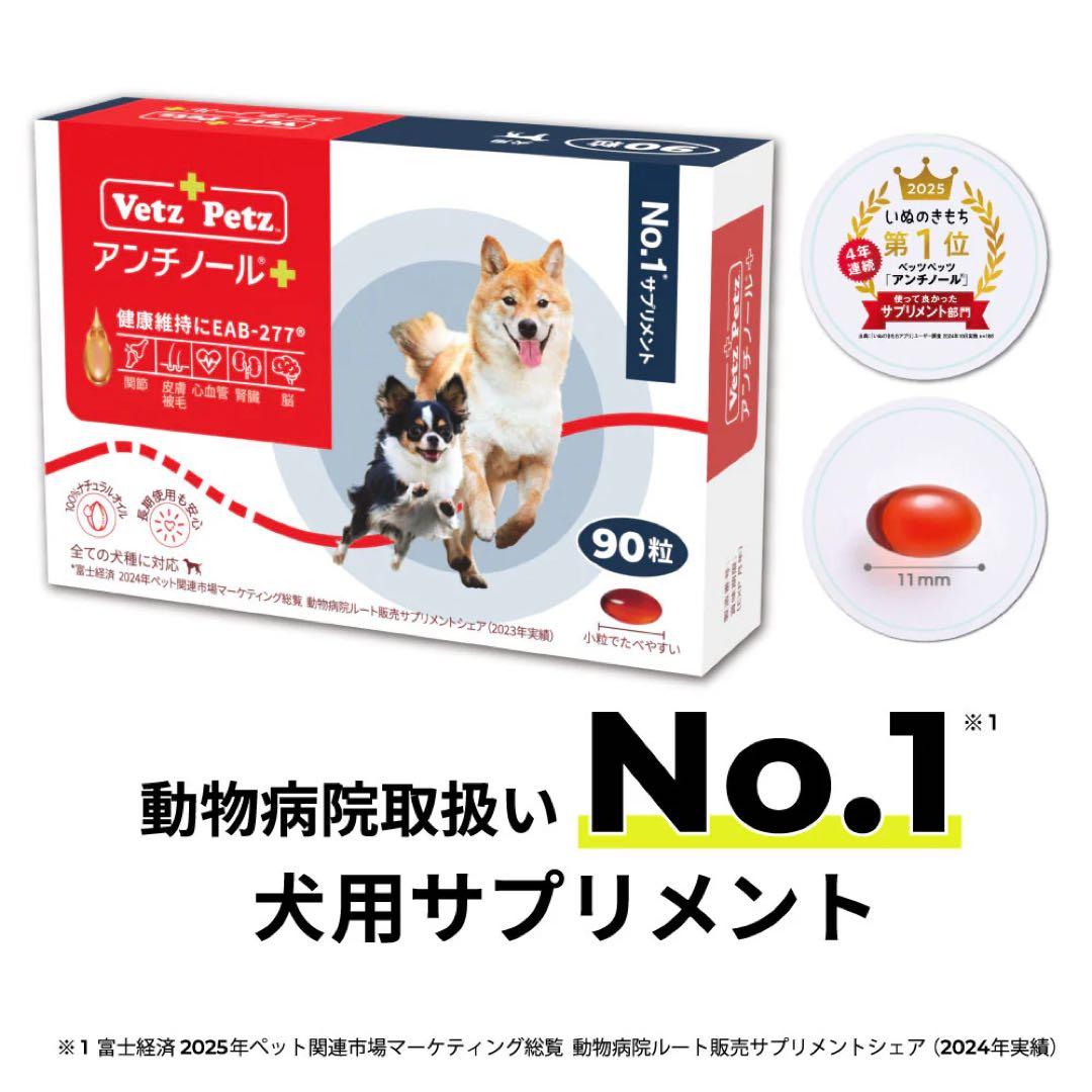 アンチノールプラス 90粒　新品未開封