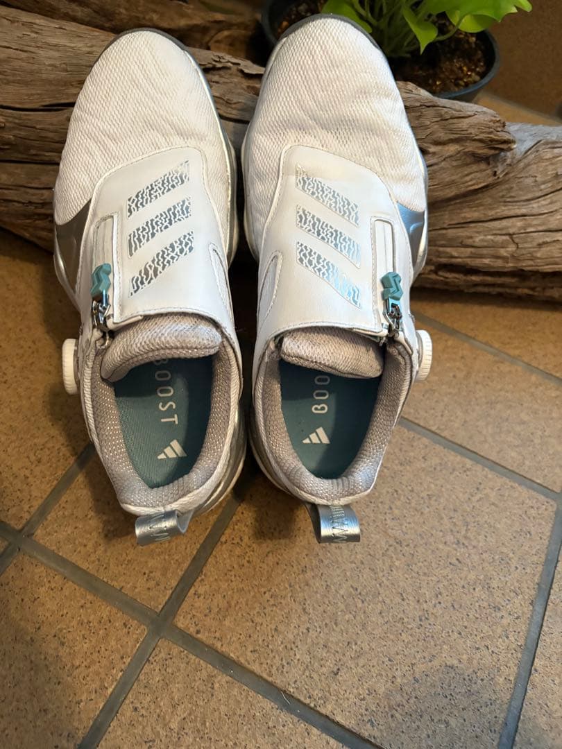 【イト】adidas ゴルフシューズ コードカオス