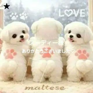 スーディー様確認用