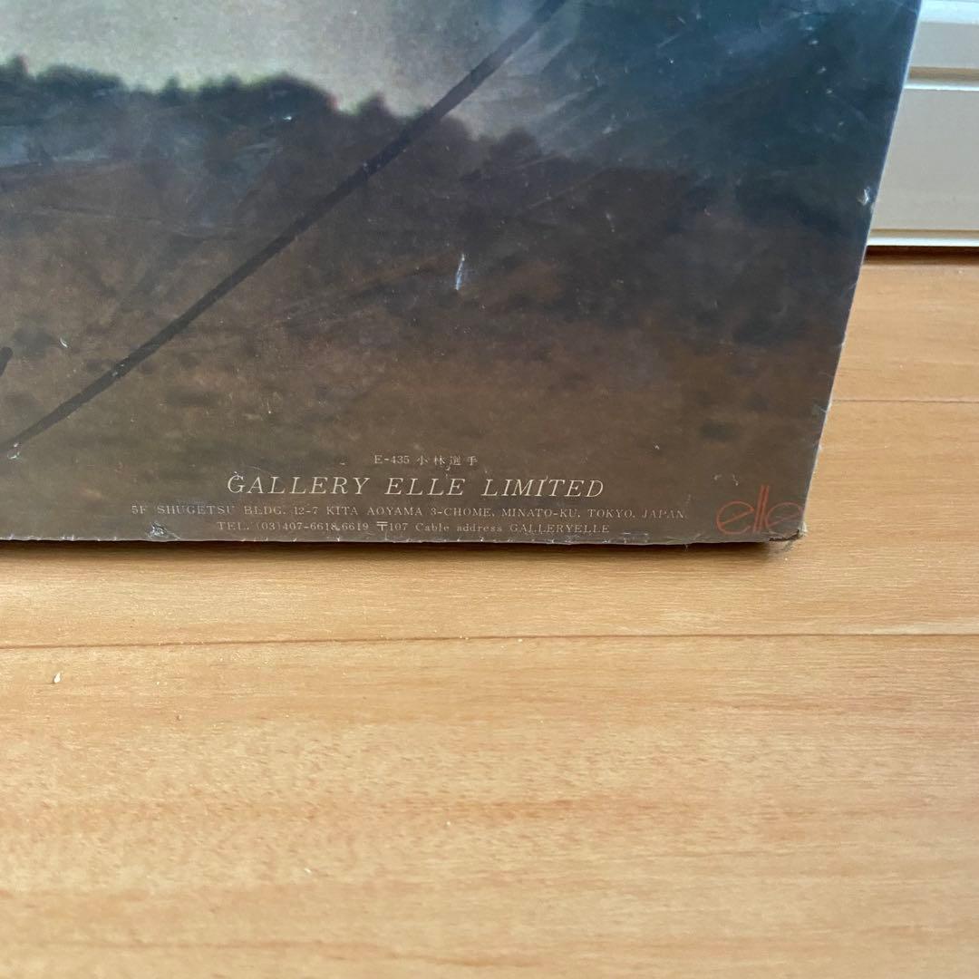 t*4様 ⭐︎巨大当時物GALLERY ELLE LIMITED 巨人小林繁選手