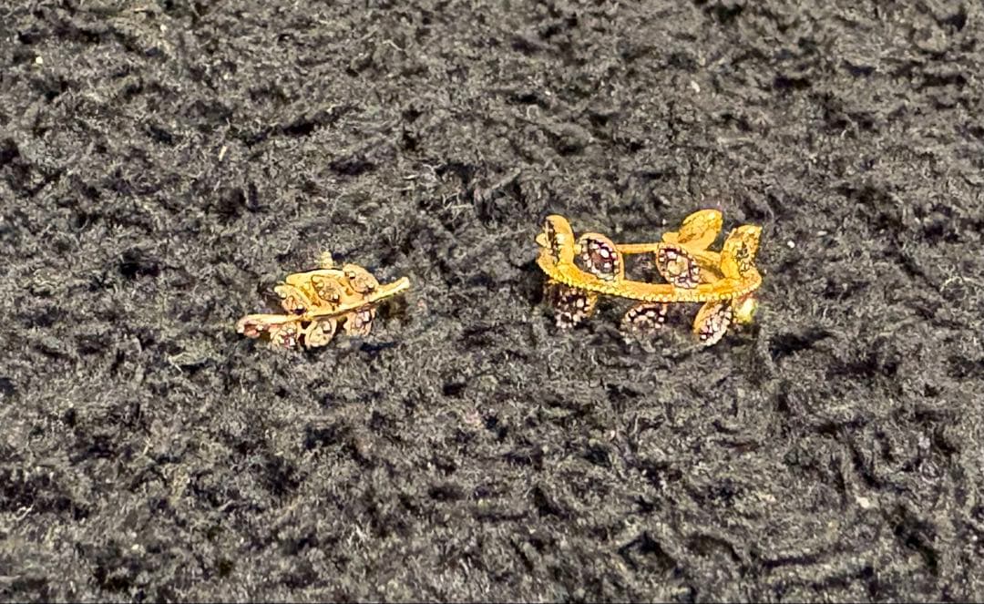 アルティーダウード ARTIDA OUD リーフ パヴェ ピアス2点