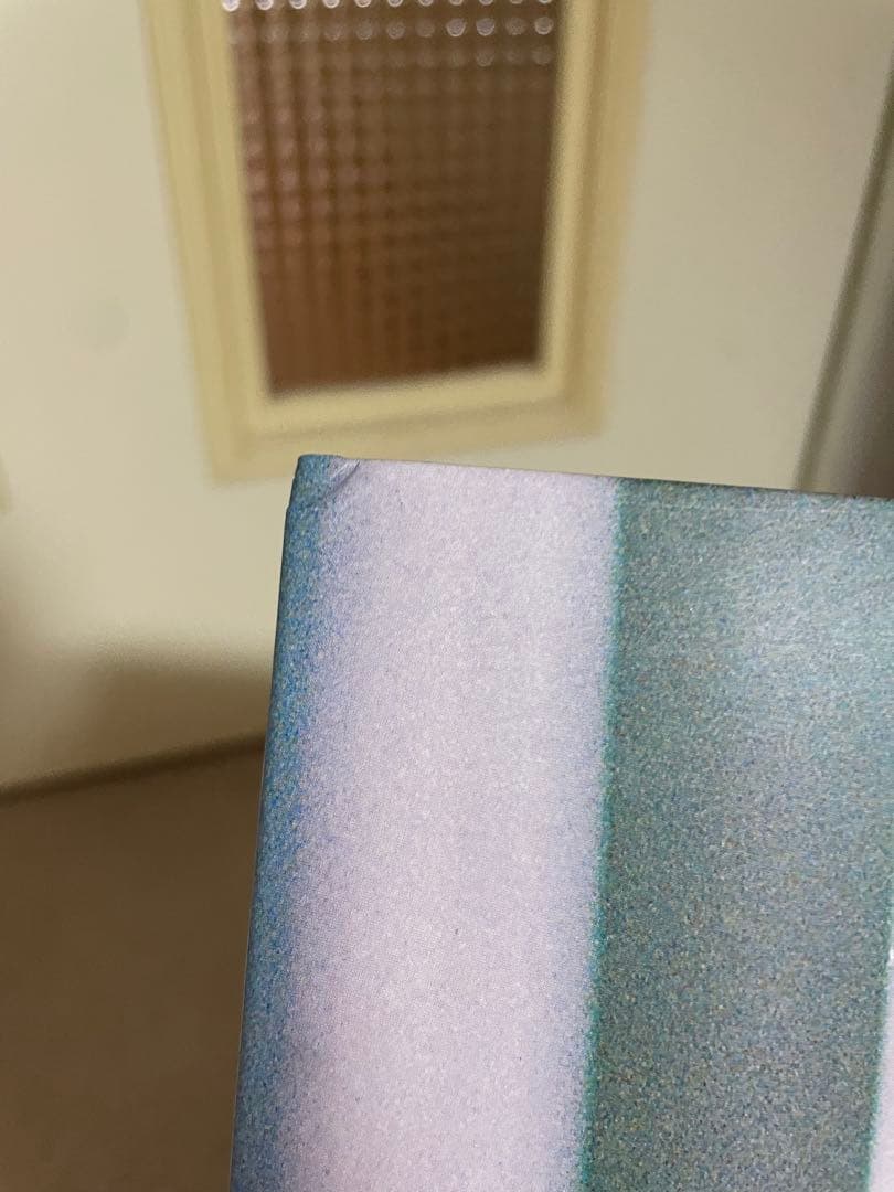 シャムキャッツ Virgin Graffiti レコード