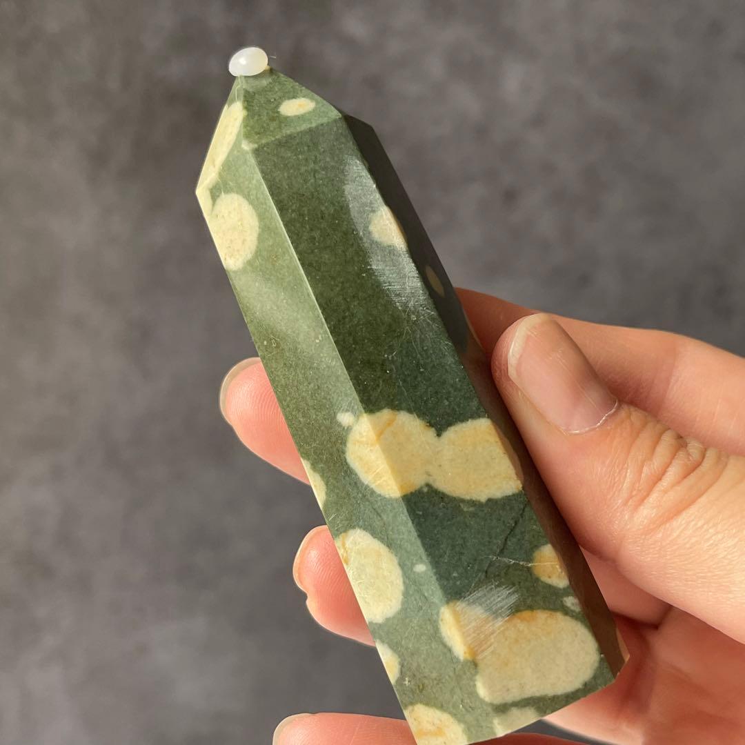 オーシャンジャスパー ホワイトダルメシアン