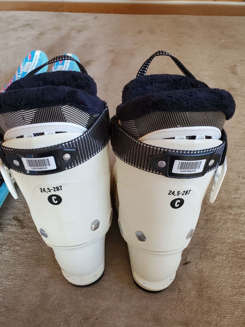 salomonカービング141ブーツ24～24.5ストック　セット