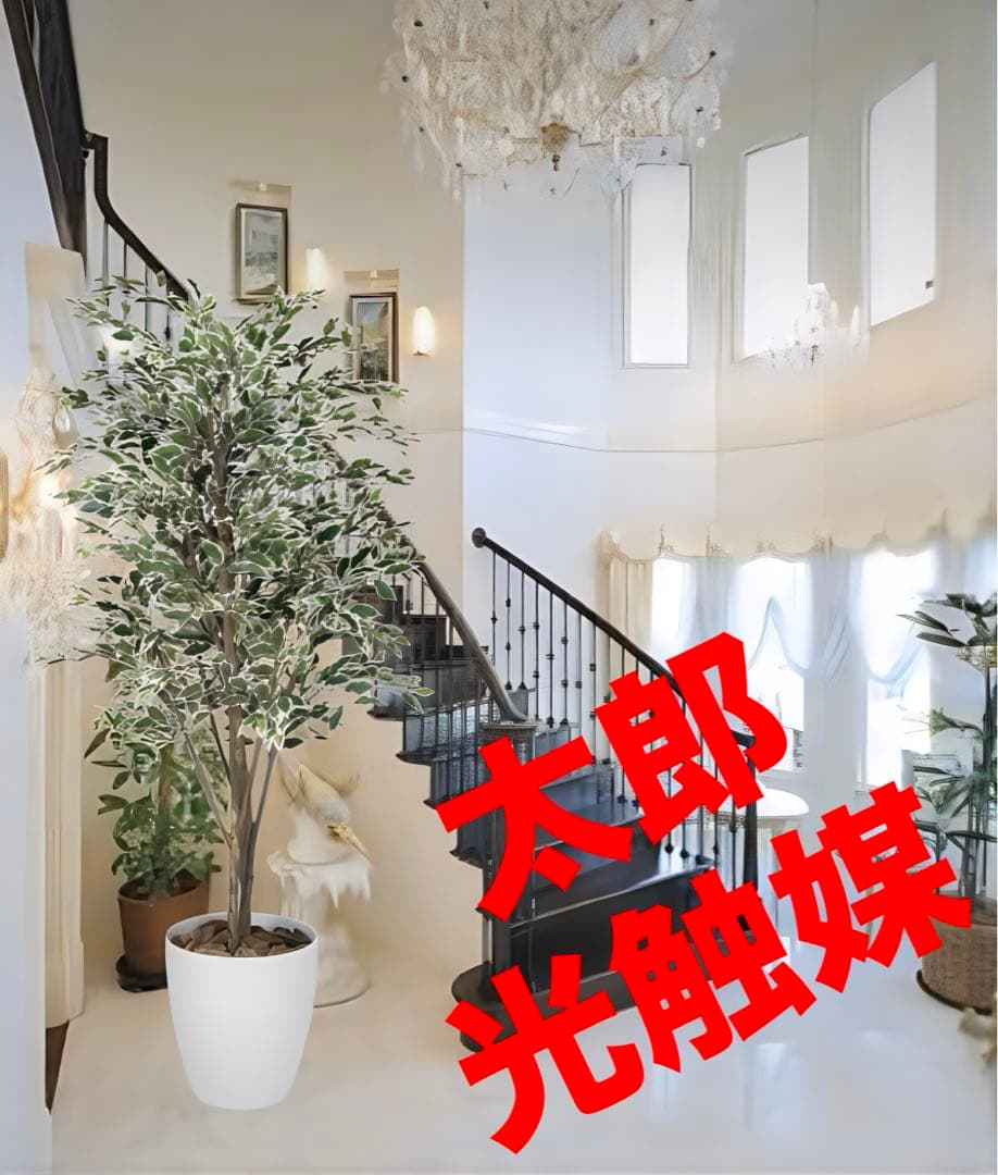 光触媒　人工観葉植物　フェイクグリーン　ベンジャミンツリー斑入リ 1.8m