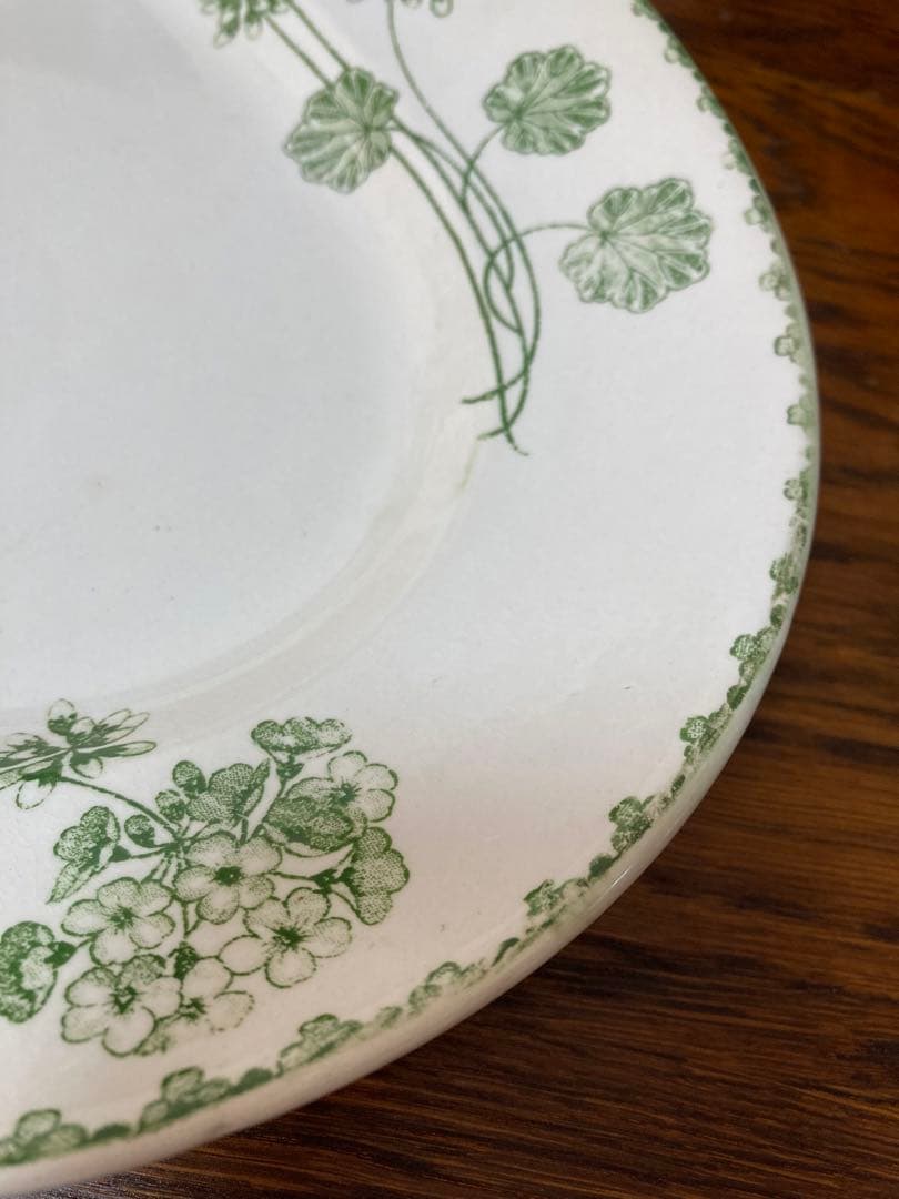 フランス陶器☆サルグミンヌ ゼラニウム オーバルプレート 大皿