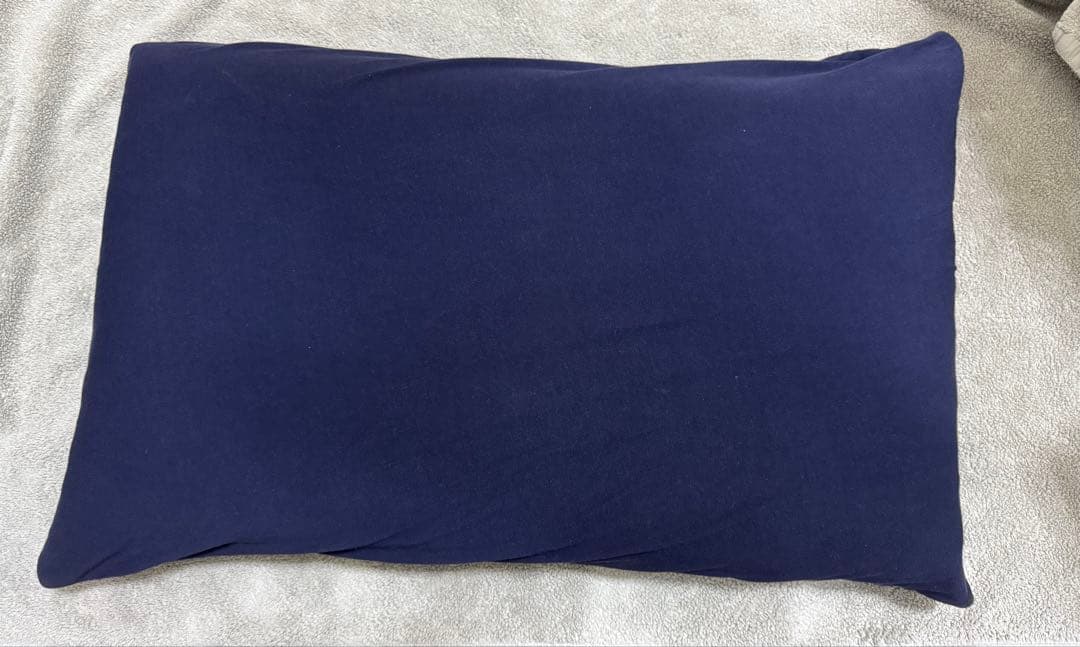 ブレインスリープピロー STANDARD 枕カバー付き