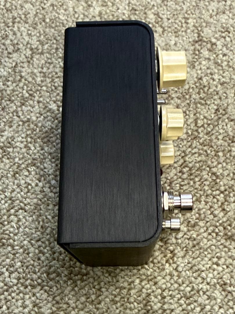 Strymon FLINT トレモロ・リバーブ