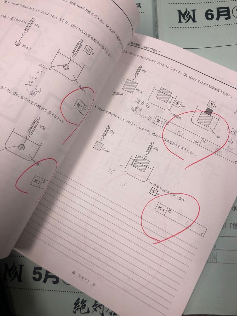 早稲田アカデミーNN早実　前期後期/日特/土特/夏期/正月/直前/副教材2024