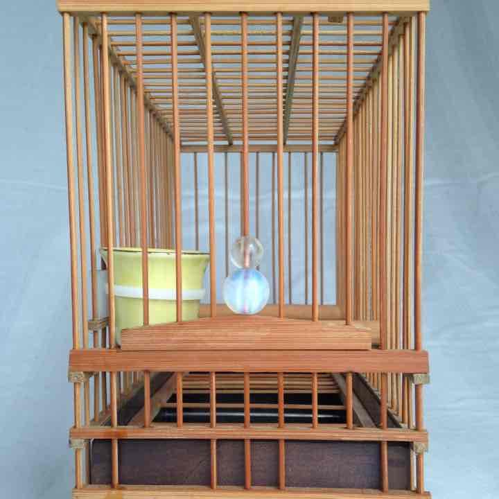 鳥籠（メジロ）