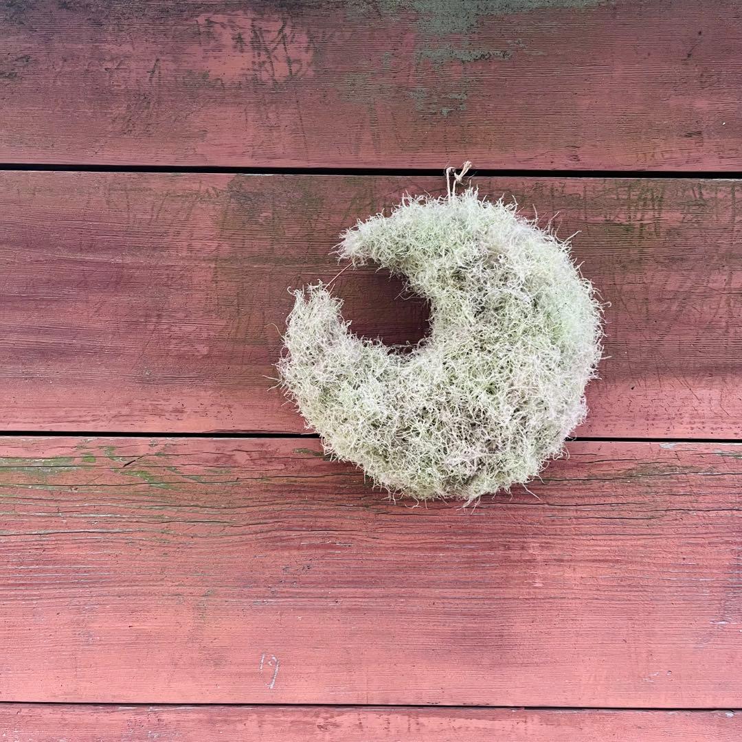 夏、秋、冬、春、来夏も^ ^スモークツリー　三日月リース　リース