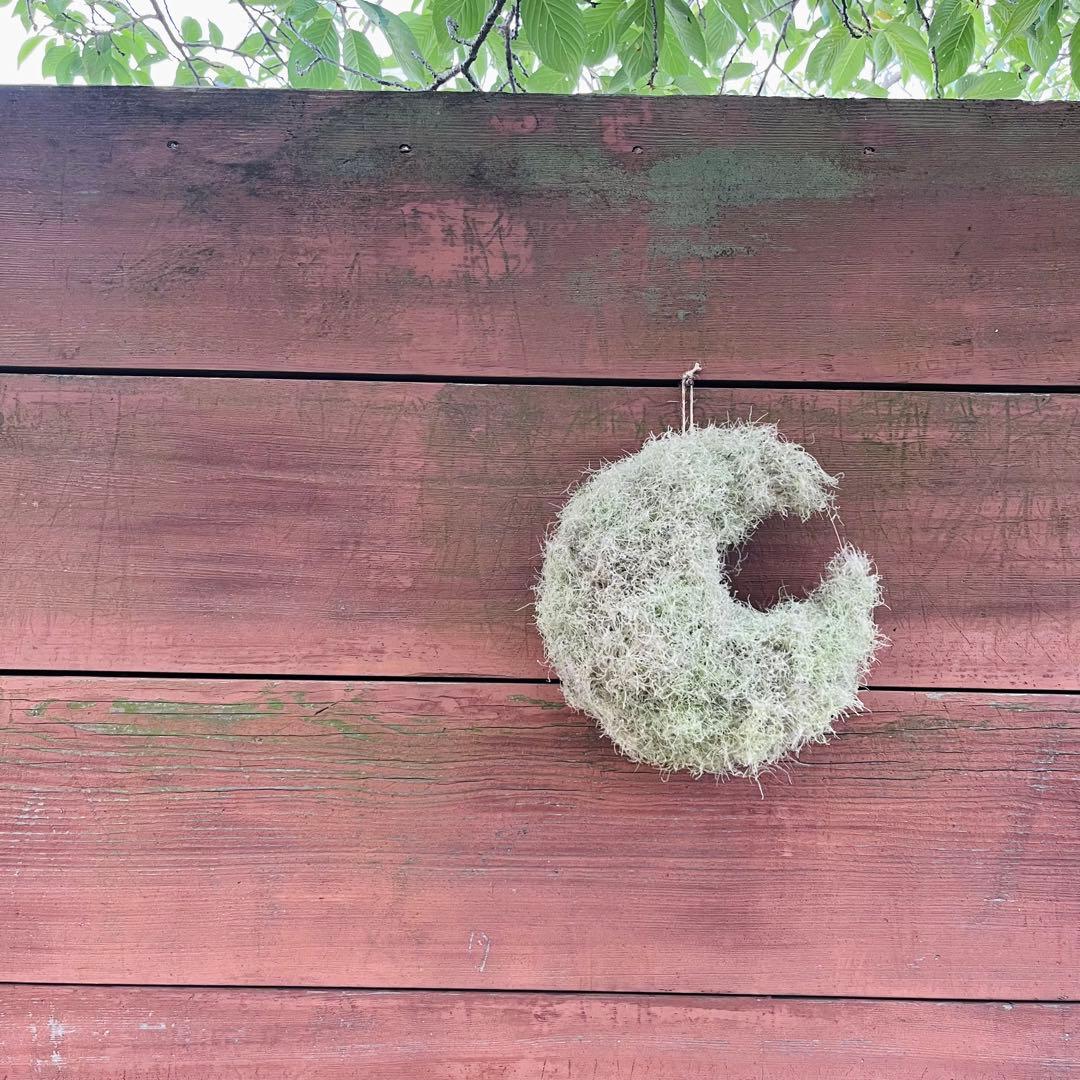 夏、秋、冬、春、来夏も^ ^スモークツリー　三日月リース　リース