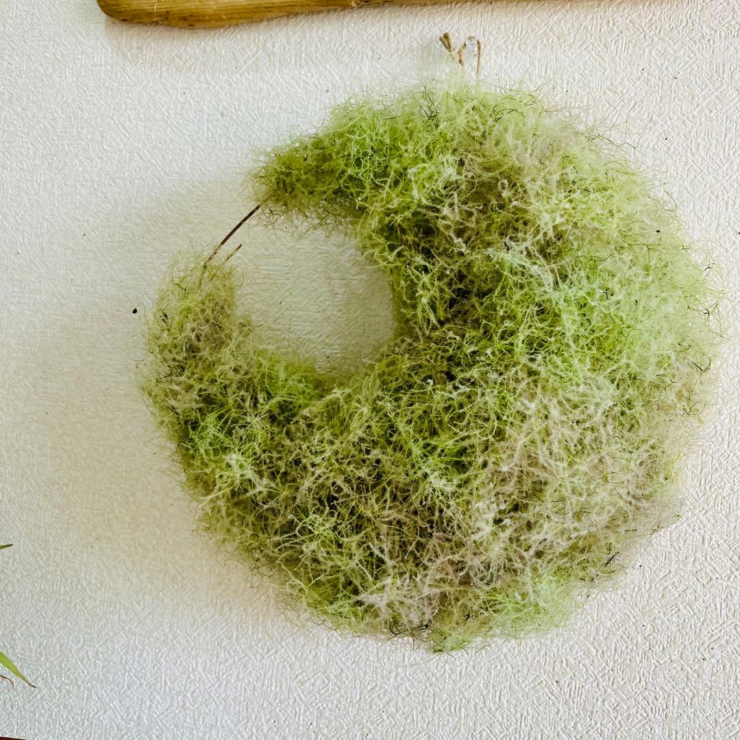 夏、秋、冬、春、来夏も^ ^スモークツリー　三日月リース　リース