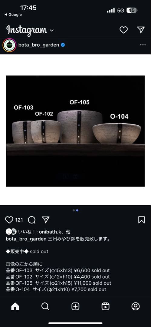 斑入り❔オペルクリカリア パキプス 幹幅19㎝ 発根済み 三州みやび鉢