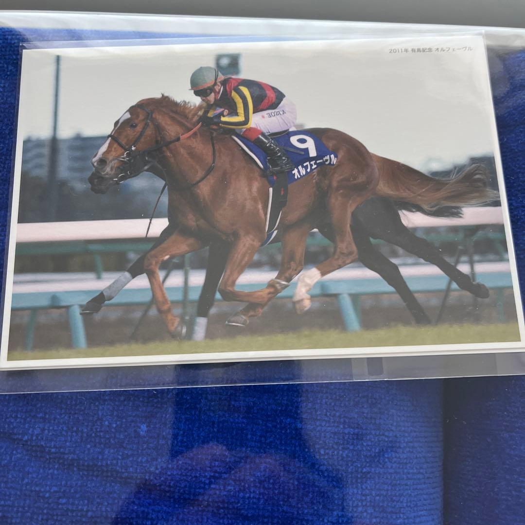 有馬記念ファン投票フルゲート賞　オルフェーブル　ゼッケン型バスタオル2枚セット