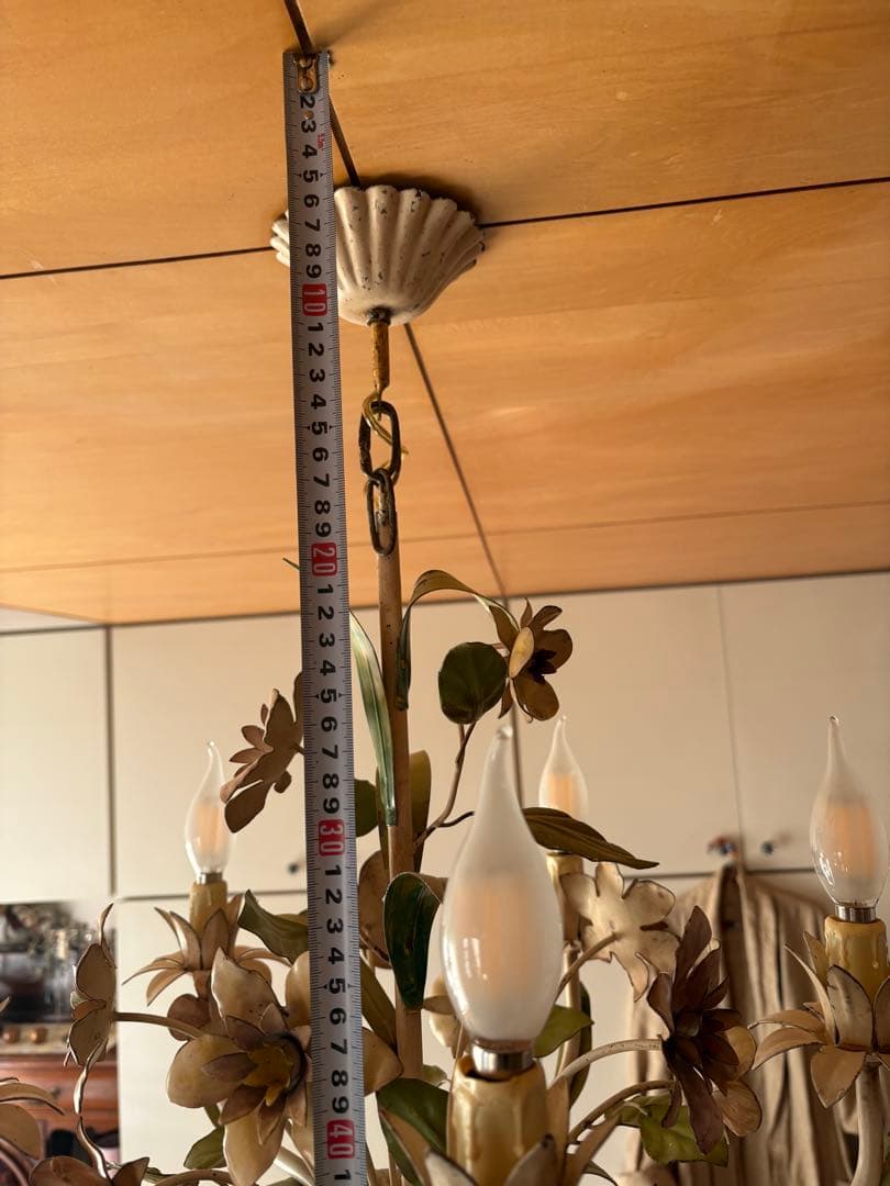 フランス　アンティーク　アイアン　フラワーモチーフ 5灯シャンデリア