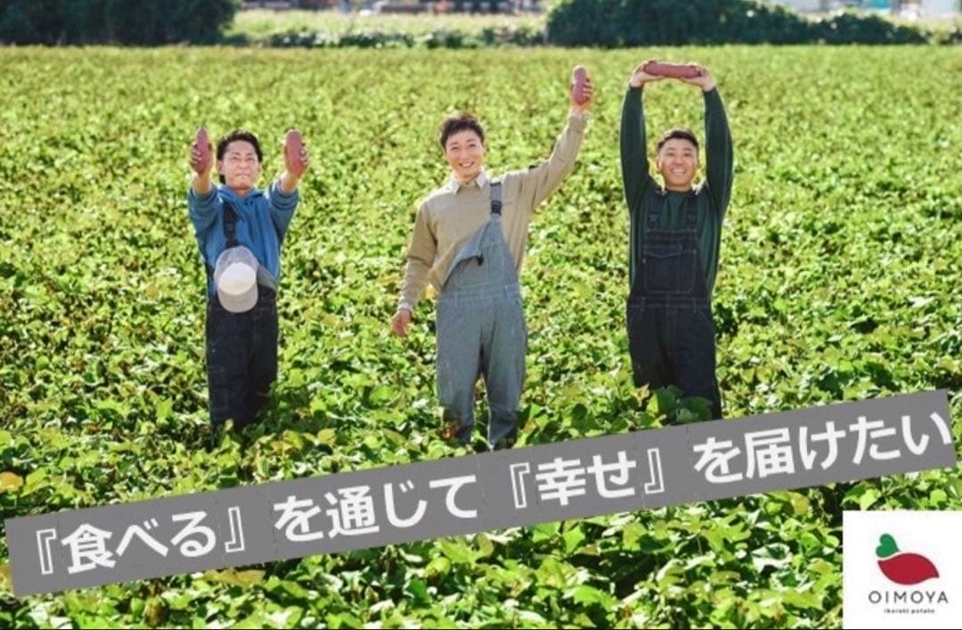 【予約受付中】紅はるか苗☆ウイルスフリー 1000本 4月中旬から発送開始