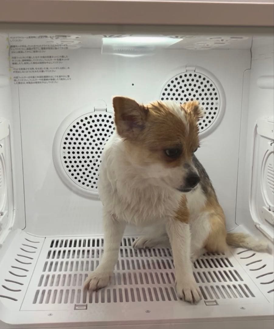 ペット用ドライルーム・(なでなで出来る窓付き)