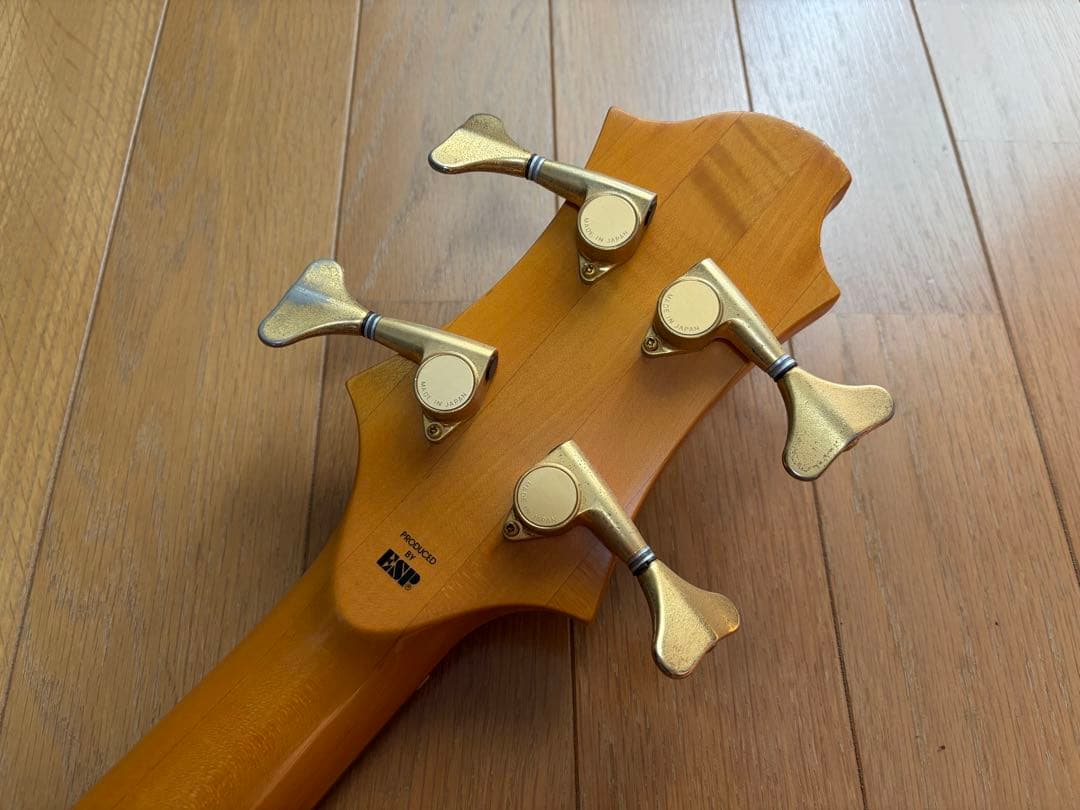 EDWARDS E-T-98EL ラルクTETUYAモデル