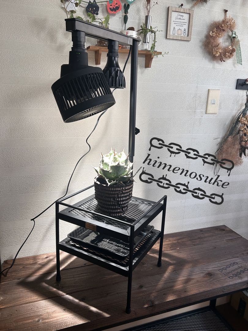 ☆送料込み☆ライトレール付植物棚　即購入OK 育成管理　アガベ　塊根　什器