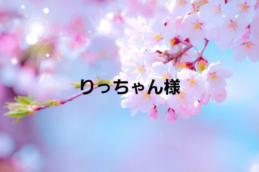 りっちゃん♪①　フェイクスイーツ　樹脂粘土　オーダーページ