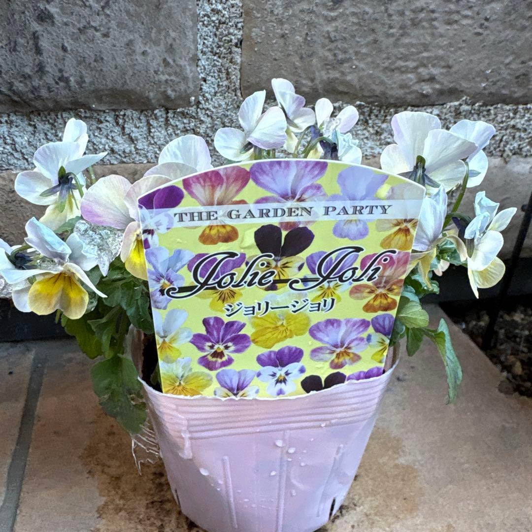 フェデネージュ