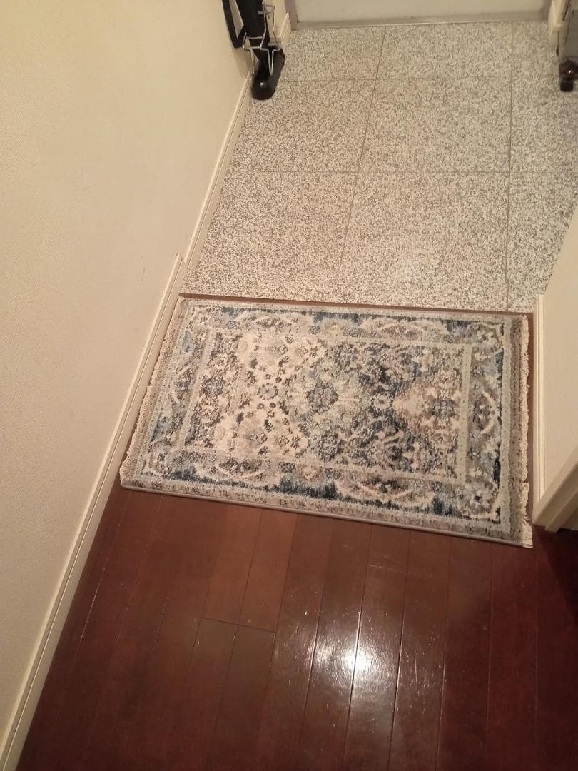 萩原 ウィルトンラグ 約160×225cm 「RAKKAS グレイズ」 オリエa