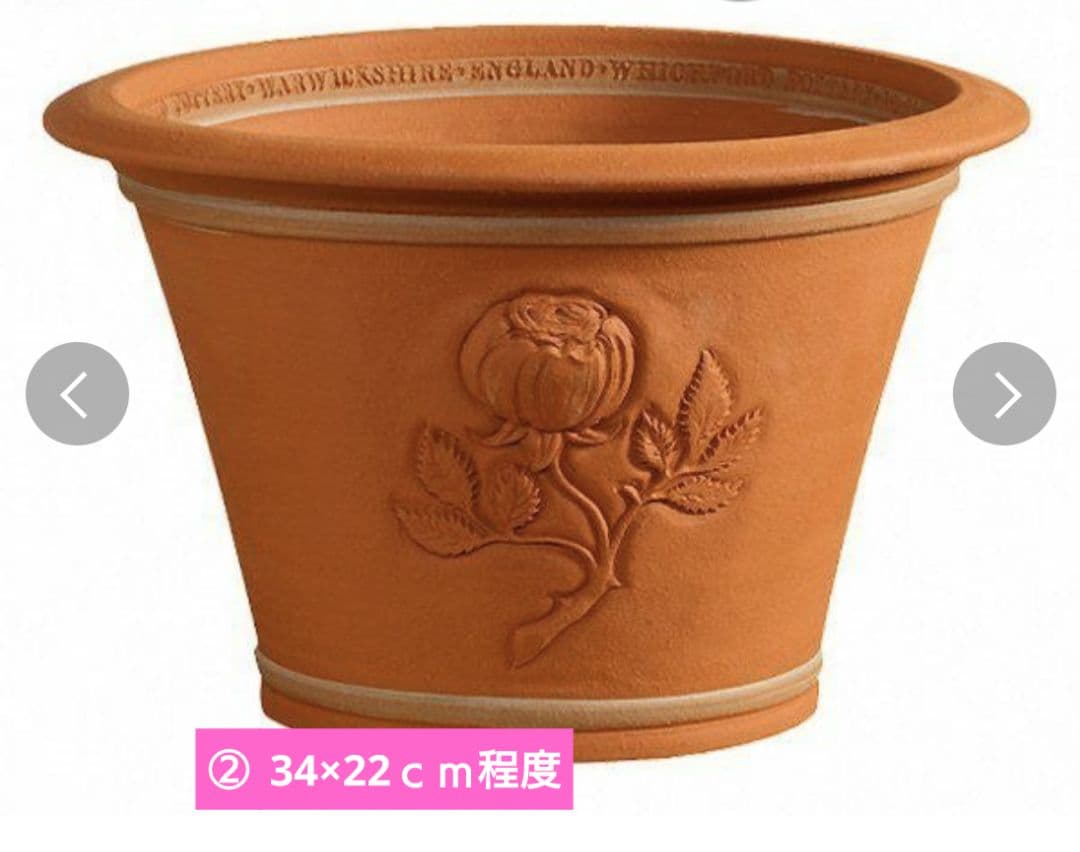 寄せ植え　ウィッチフォード鉢　期間限定込み価格