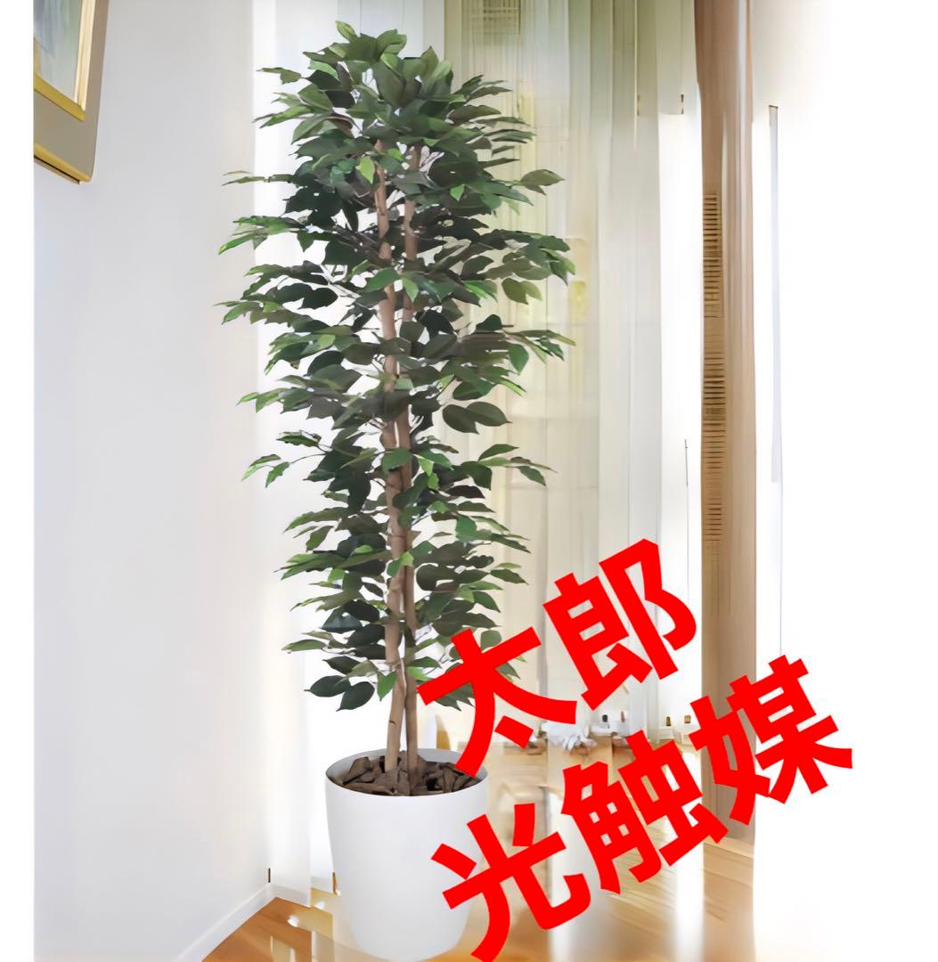 光触媒　人工観葉植物　フェイクグリーン　ベンジャミンスリム 1.8m