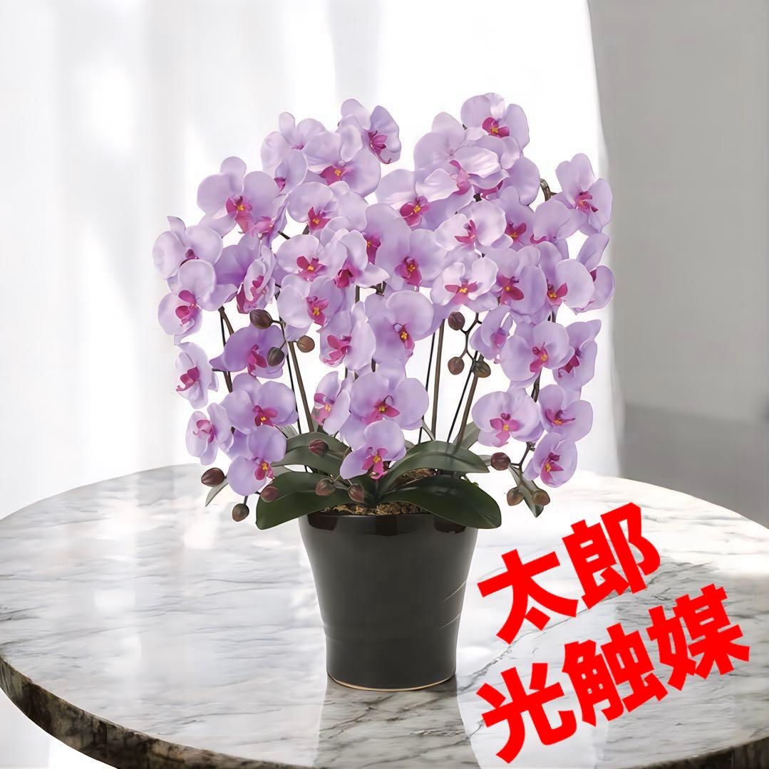 光触媒　人工観葉植物　ウォールグリーン　フェイクグリーン　クイーン胡蝶蘭５本立Ｌ