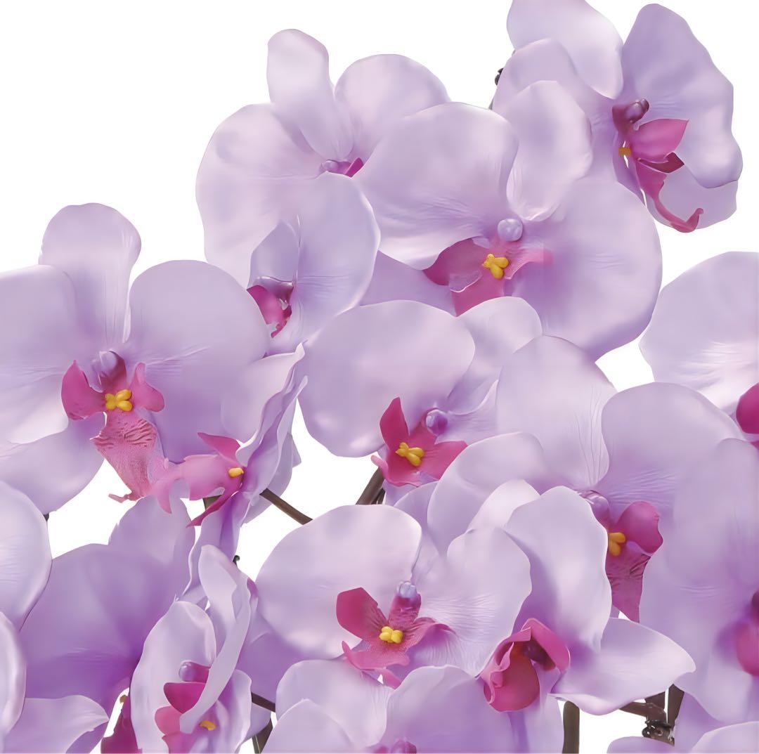 光触媒　人工観葉植物　ウォールグリーン　フェイクグリーン　クイーン胡蝶蘭５本立Ｌ