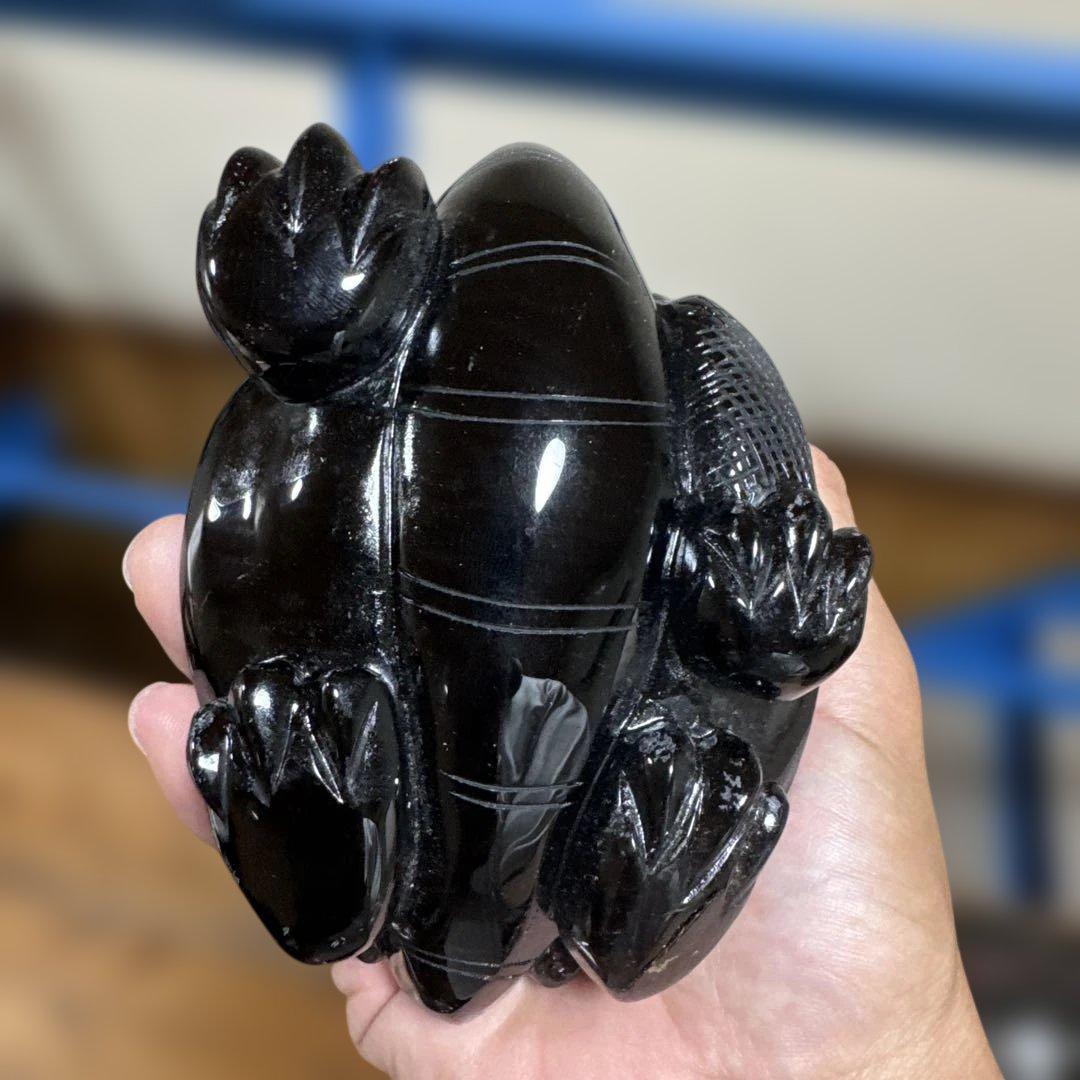 【コレクション】山東省産　モリオン龍亀　黒水晶