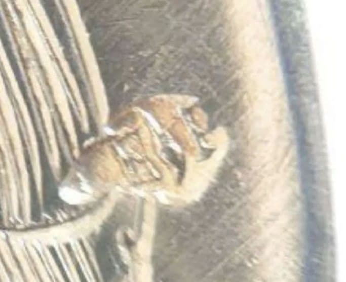 ピュイフォルカ　フランス　純銀　アイスクリームスプーン