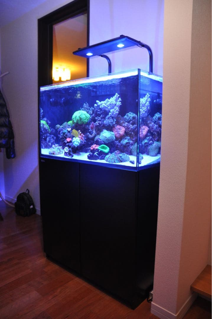 Kessil AP700 アクアリウムライト 本体　マウンティングアームセット