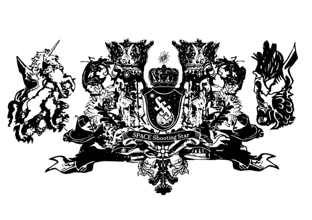 最高級な宇宙の隕石の粉ケース付き ⚜️✨　宇宙の流れ星の粉 ✨✨✨