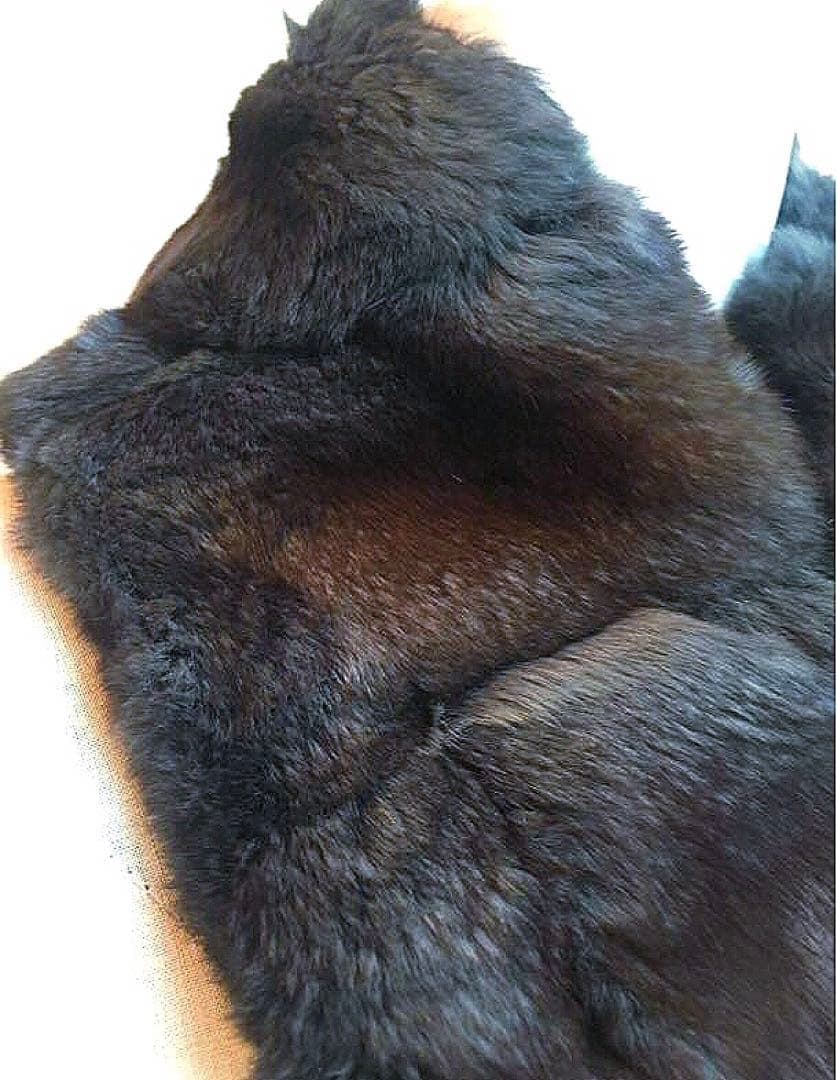 定価１４０万カタログ掲載ロロピアーナチンチラファー＆カシミア裏地マフラーストール