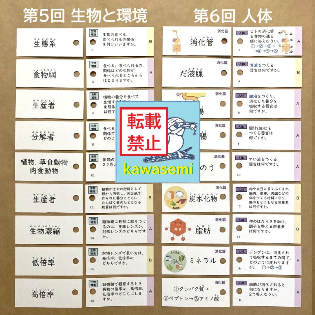 カット済 【中学受験】理科の基本事項 知識編 理科 暗記カード フルセットc