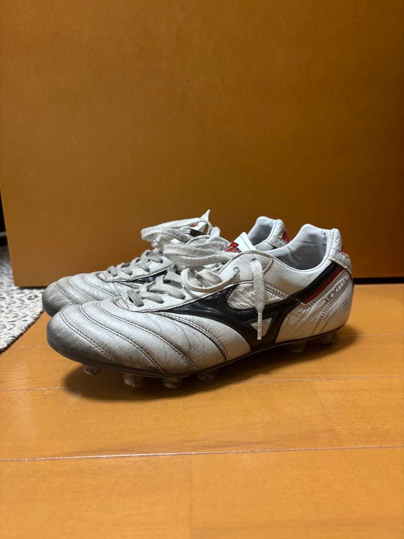 モレリア2　25cm